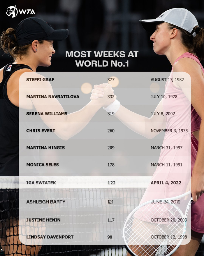 牙队带来新 牙队带来新