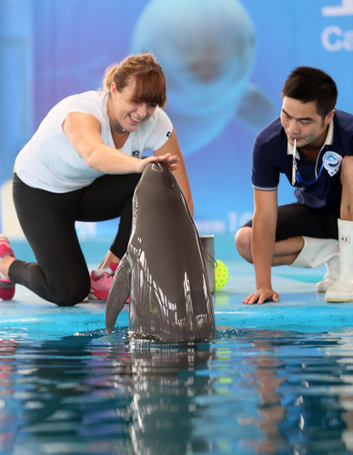 半场就建立 半场就建立